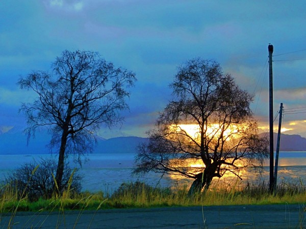 Winter Sunrise on the Bay by 151 West